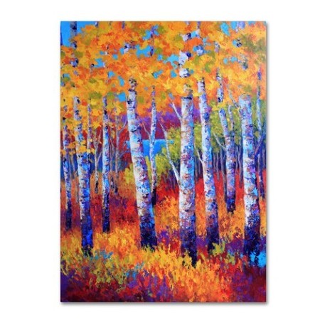 TRADEMARK FINE ART Marion Rose 'Judy Path to the Lake' Canvas Art, 14x19 ALI15328-C1419GG